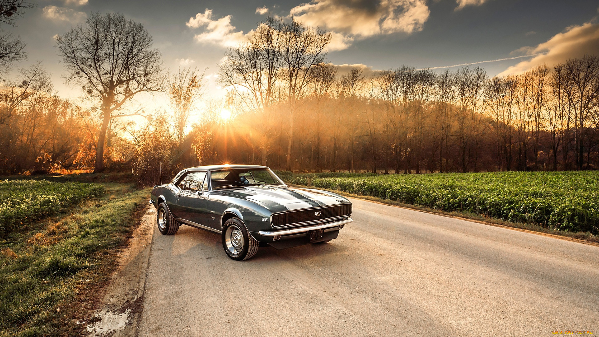 , camaro, 1967, chevrolet, ss